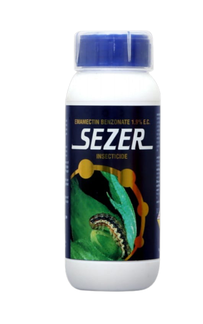 Sezer