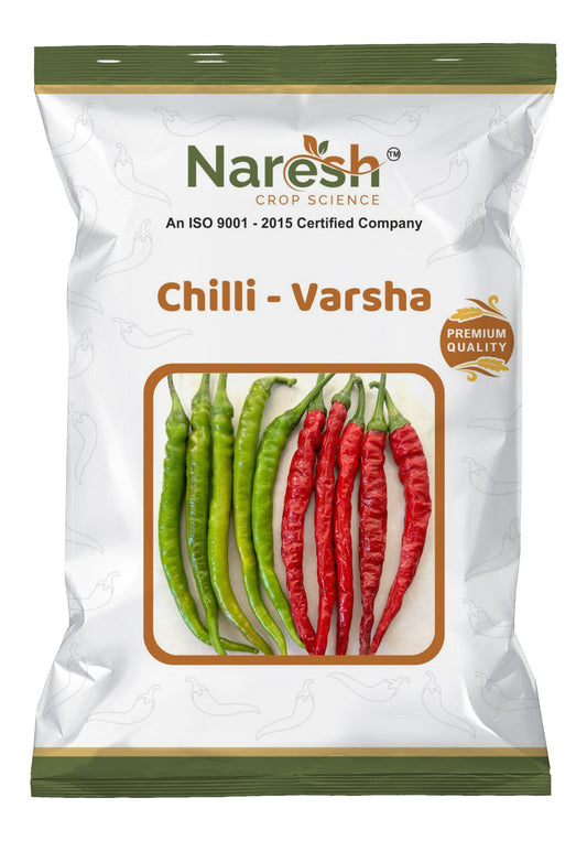Chilli - Varsha
