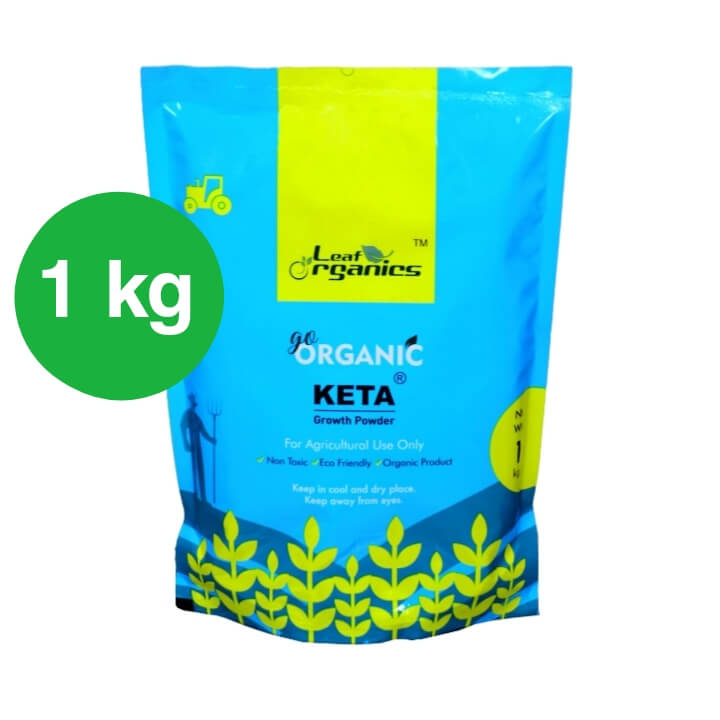 Keta Powder Organic 